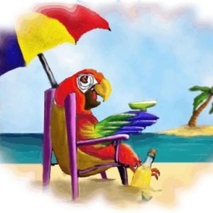 Meet your Posher, Scott